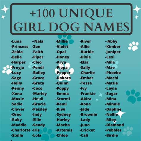 cool dog names female|100 unique female dog names.